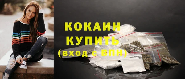 трава Наволоки