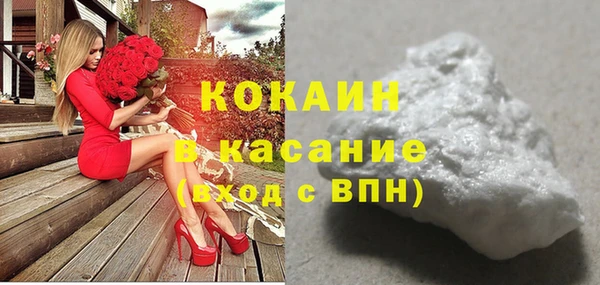 трава Наволоки