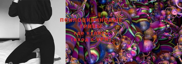 трава Наволоки