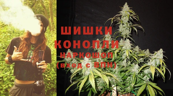 трава Наволоки