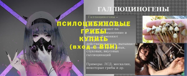 трава Наволоки