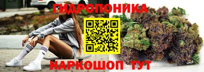 дмт Волжский