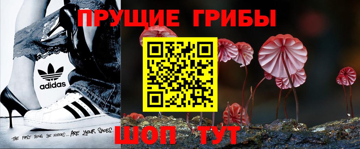 Галлюциногенные грибы GOLDEN TEACHER  Всеволожск 