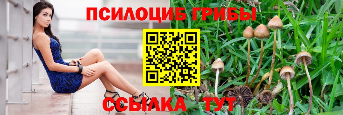 Псилоцибиновые грибы Magic Shrooms Всеволожск